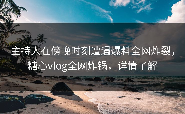 主持人在傍晚时刻遭遇爆料全网炸裂，糖心vlog全网炸锅，详情了解