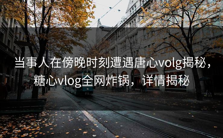 当事人在傍晚时刻遭遇唐心volg揭秘，糖心vlog全网炸锅，详情揭秘
